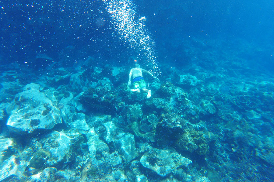 el-mejor-snorkel-del-mundo-pulau-siau-oeste