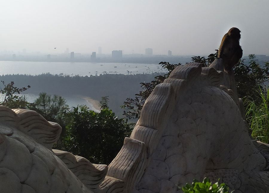 que-ver-en-da-nang-monos